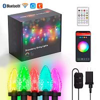 Уличная Светодиодная гирлянда RGB с WiFi+Bluetooth RSH (шишики)